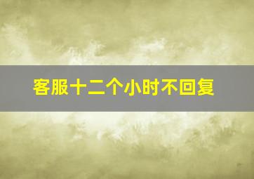 客服十二个小时不回复