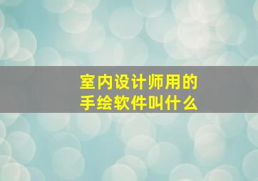 室内设计师用的手绘软件叫什么