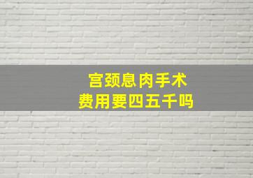 宫颈息肉手术费用要四五千吗