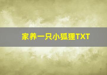 家养一只小狐狸TXT