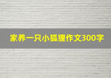 家养一只小狐狸作文300字