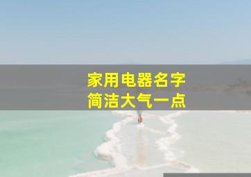 家用电器名字简洁大气一点