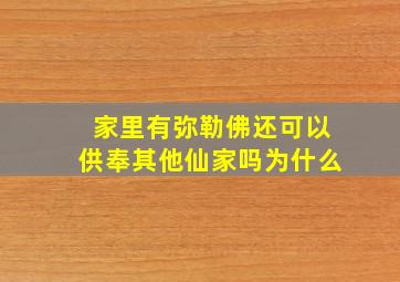 家里有弥勒佛还可以供奉其他仙家吗为什么