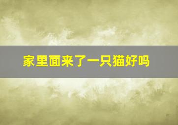 家里面来了一只猫好吗