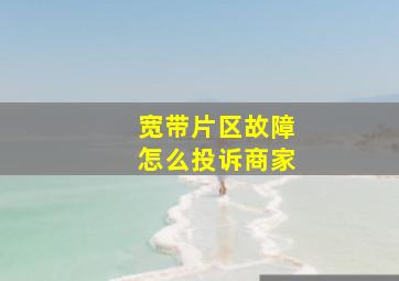 宽带片区故障怎么投诉商家