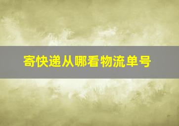 寄快递从哪看物流单号