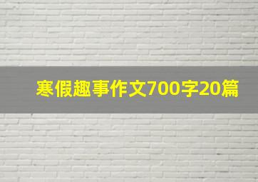 寒假趣事作文700字20篇