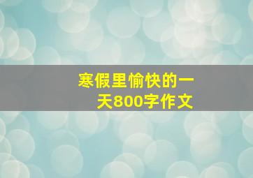 寒假里愉快的一天800字作文