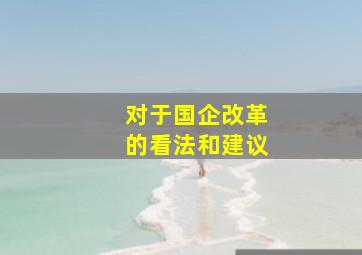 对于国企改革的看法和建议