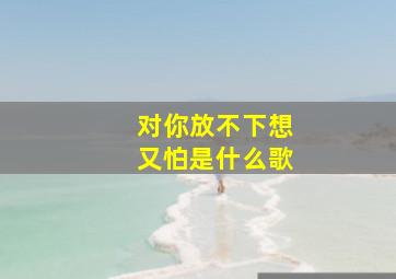 对你放不下想又怕是什么歌