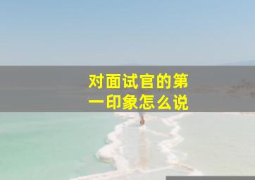 对面试官的第一印象怎么说