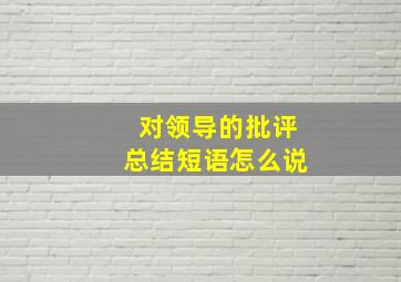 对领导的批评总结短语怎么说