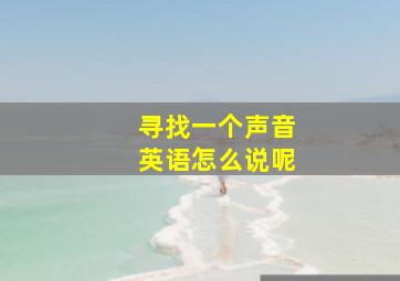 寻找一个声音英语怎么说呢