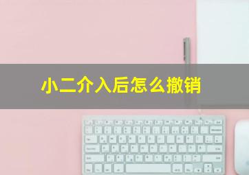 小二介入后怎么撤销