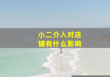 小二介入对店铺有什么影响