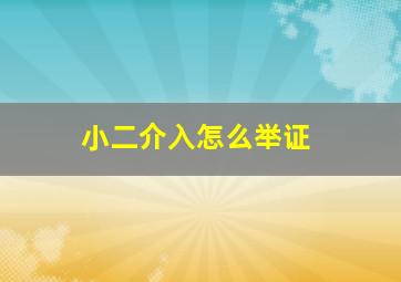 小二介入怎么举证