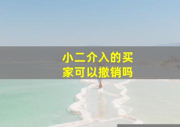 小二介入的买家可以撤销吗