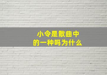 小令是散曲中的一种吗为什么