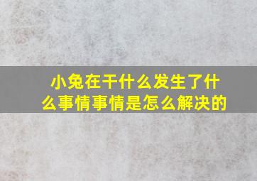 小兔在干什么发生了什么事情事情是怎么解决的