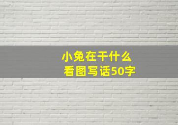 小兔在干什么看图写话50字