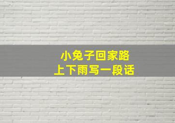 小兔子回家路上下雨写一段话