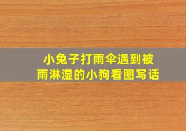 小兔子打雨伞遇到被雨淋湿的小狗看图写话