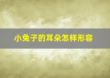 小兔子的耳朵怎样形容