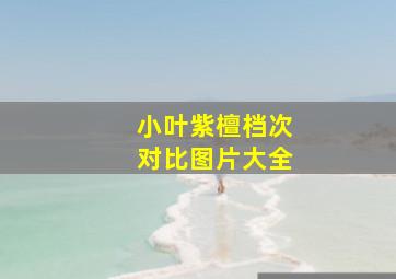 小叶紫檀档次对比图片大全