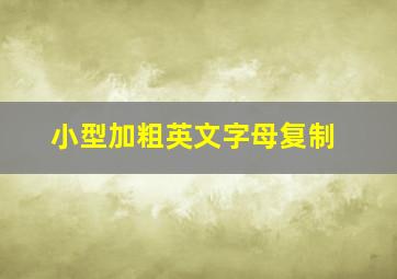 小型加粗英文字母复制