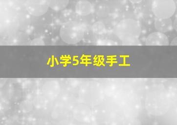 小学5年级手工