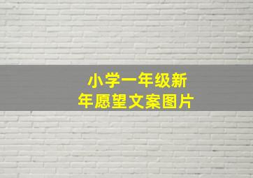 小学一年级新年愿望文案图片