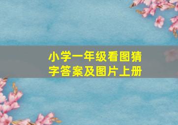 小学一年级看图猜字答案及图片上册