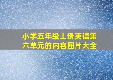 小学五年级上册英语第六单元的内容图片大全