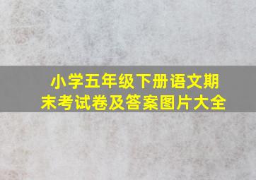 小学五年级下册语文期末考试卷及答案图片大全