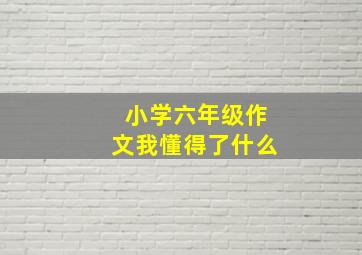 小学六年级作文我懂得了什么