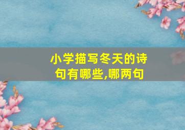 小学描写冬天的诗句有哪些,哪两句