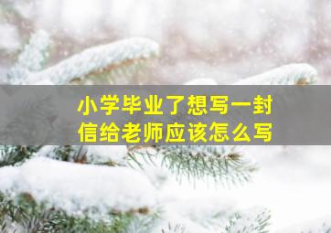 小学毕业了想写一封信给老师应该怎么写