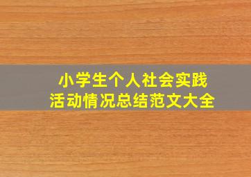 小学生个人社会实践活动情况总结范文大全