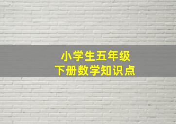 小学生五年级下册数学知识点