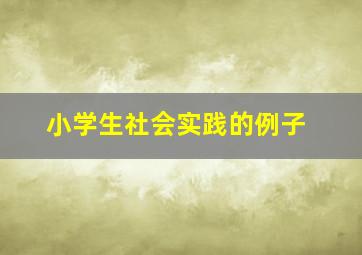 小学生社会实践的例子