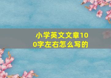 小学英文文章100字左右怎么写的