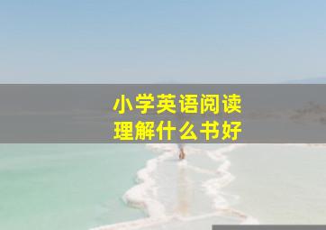 小学英语阅读理解什么书好