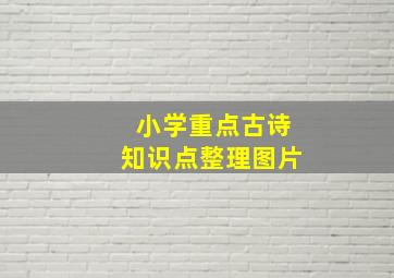 小学重点古诗知识点整理图片