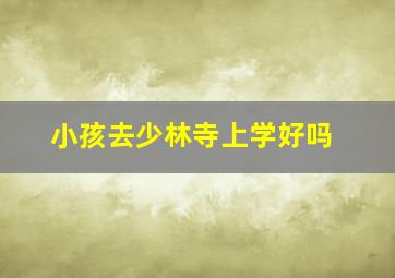 小孩去少林寺上学好吗