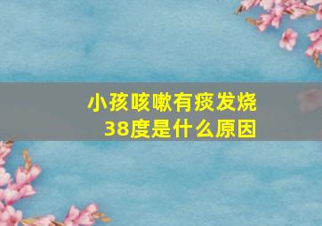 小孩咳嗽有痰发烧38度是什么原因