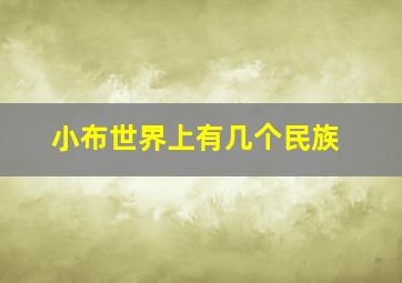 小布世界上有几个民族