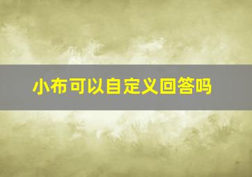 小布可以自定义回答吗