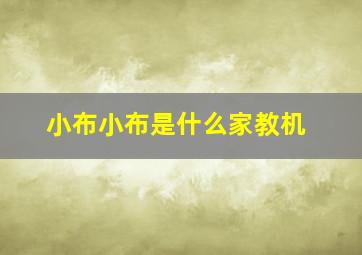 小布小布是什么家教机