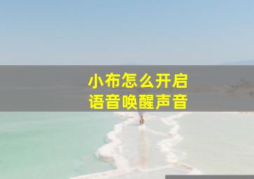 小布怎么开启语音唤醒声音