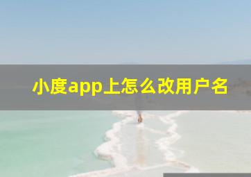 小度app上怎么改用户名